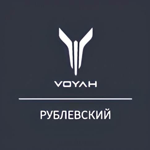  VOYAH