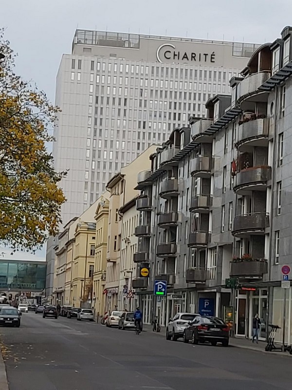 ������� ���� � �������� - Charite